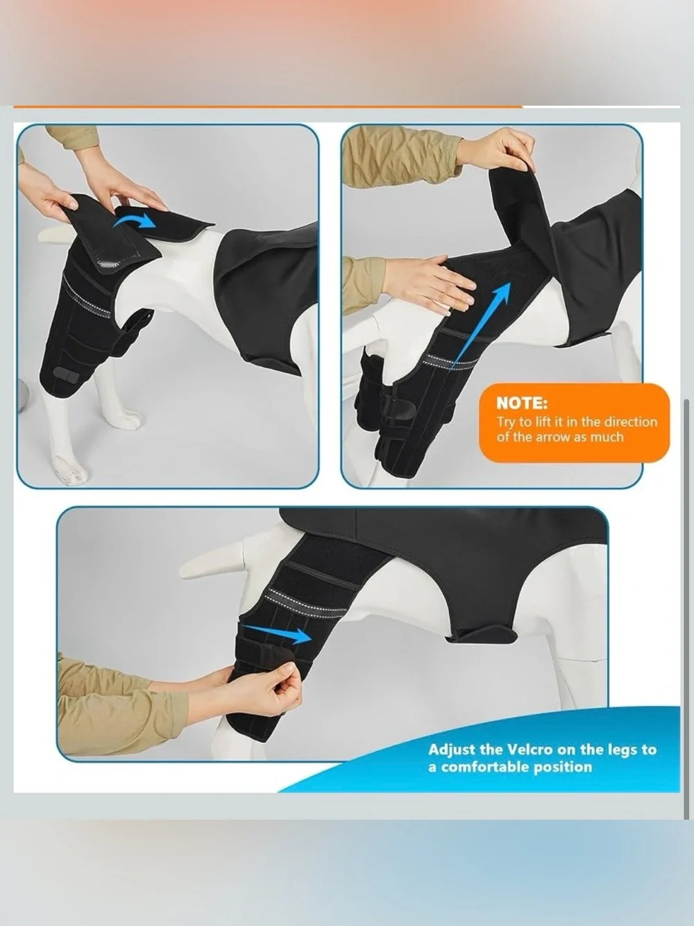 Dog Knee Brace For Torn Acl Hind Leg, 4 Stabilizers Dog Leg Brace L. 2039/DC-1